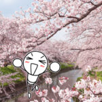 桜と空と小さな前進と