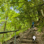 自然体で、ゆるっと心地よい体質変化