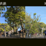 神社で感じる、日常と神聖のあいだ