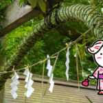 「半夏生」と「夏越の祓」